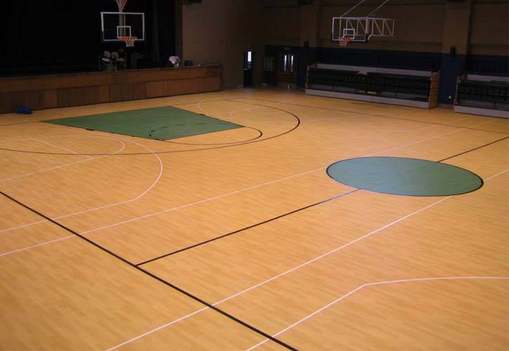 泰州體育館室內籃球場運動木丝瓜视频在线观看免费