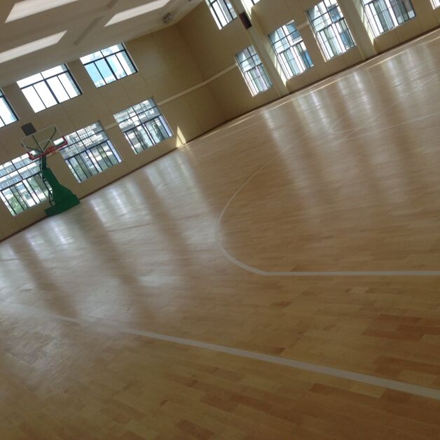 桐廬籃球館木丝瓜视频在线观看免费